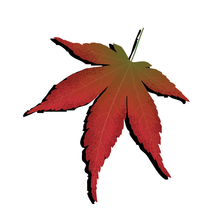 jackie taylor logo